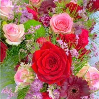 مشارکت در اخذ جواز و ساخت سفره خانه در باراجین