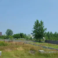 زمین ۲۶۷ متری روبروی طرح ساحلی داخل بافت|فروش زمین و ملک کلنگی|چاف و چمخاله, |دیوار