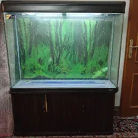 آکواریوم شرکتی SEA STAR