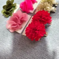 انواع کِش مو و گیره ی مو کاملا نو|زیورآلات و اکسسوری|شاهینشهر, عطار|دیوار