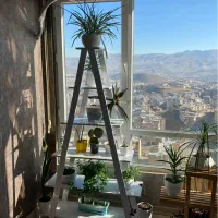 استند ام دی اف