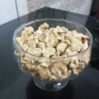 گردو سیسخت