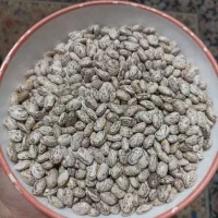 همواره تخفیف چیتی