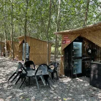 اقامتگاه چوبی، درآغوش جنگل سبز|فروش خانه و ویلا|چادگان, |دیوار