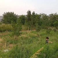 باغ گردو سراب ایوان