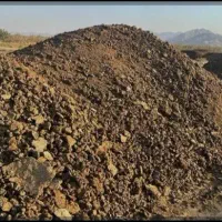 حمل کود گاوی پوسیده