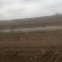 200-متر-خانه-اجاره-در-دانه-های-روغنی-کوچه-3