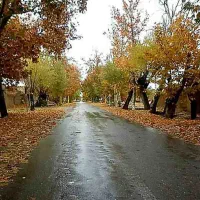 باغ ویلا فروشی زیر قیمت