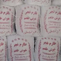 برنج طارم فجر مجلسی