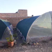 لوازم سالن گلخانه در حد نو ابعاد ۶*۱۲|فروش دفتر صنعتی، کشاورزی، تجاری|کاشمر, |دیوار