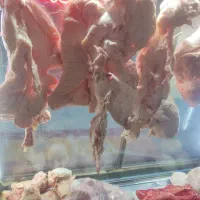 فروش دنبه و قلم گوساله