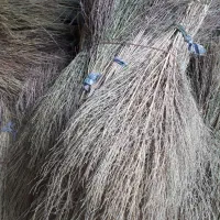 جاروپیشی محلی