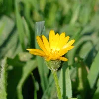 طرح مهربانی۱۸تومن