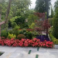 جویای کار سرایداری