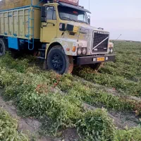 ولوو باری مدل۶۶|خودرو سنگین|اردبیل, |دیوار