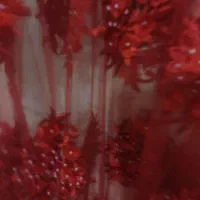 لباس کردی|لباس|ماهیدشت, |دیوار