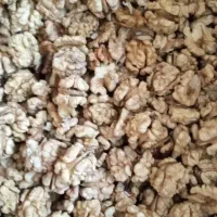 مغز گردو درجه ۱ امسالی جاسب