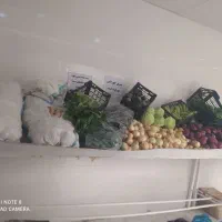 کیانشهر