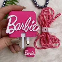 محافظ آداپتور 25w