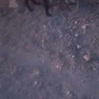 دورود به تمام عزیزان عشق باز