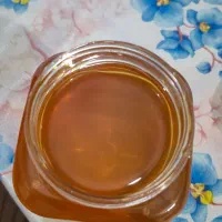 عسل گون آستانه دهاقان به شرط مرجوعی|خوردنی و آشامیدنی|اصفهان, منتظرالمهدی|دیوار