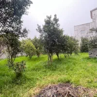 فروش زمین ۵۰۰ متری (ابتدا) ولیعصر /بر ۲۰ متر/