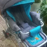 کالسکه دلیجان جنس اصلی