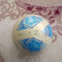 توپ چمنی