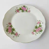 کاسه ماست و بشقاب خورشت خوری|ظروف سرو و پذیرایی|شیراز, رازی|دیوار