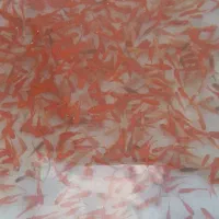 پخش ماهی قرمز کالرویدو فایتر زبرا آکواریوم سانفیش