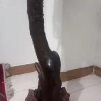 آباژور چوبی|چراغ خواب و آباژور|پاکدشت, پاکدشت (مامازند)|دیوار