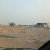 زمین صحرا بلبل معاوضه