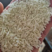 برنج هاشمی گیلان.|خوردنی و آشامیدنی|هشتگرد, هشتگرد قدیم|دیوار