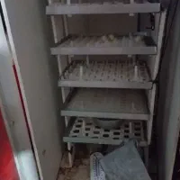 دستگاه‌جوجه‌کشی