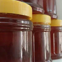 فروش عمده عسل طبیعی متنوع قیمت عمده