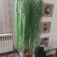 درختچه مصنوعی بید مجنون|گل مصنوعی|تهران, فلاح|دیوار