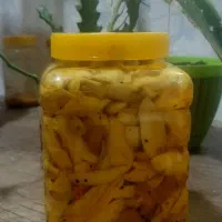 ترشی انبه با پر زردآلو|خوردنی و آشامیدنی|رودان, |دیوار