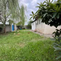 خانه محوطه باشالیزارسنتی/6600متری/80 متر بنای سالم|فروش زمین و ملک کلنگی|رشت, بلوار گیلان|دیوار