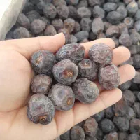 فروش خرمای گنتال به صورت تنی