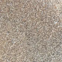 خرید گندم گل دار