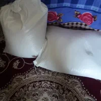 برنج شیرودی