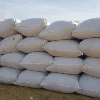 کاه گندم بسته بندی شده در گونی|لوازم جانبی حیوانات|نمین, |دیوار