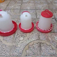 جای آب و دون مرغ و بوقلمون