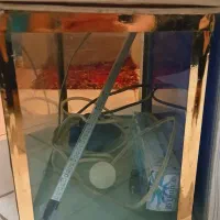 آکواریوم|ماهی|احمدآبادمستوفی, |دیوار