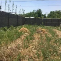 فروش-زمین-قواره-بندی-شده1000متر-در-خوشبازان-معصومی