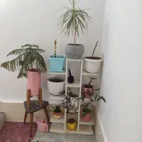 استند فلزی گل با همه گل و گلدون ها