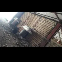 انجام کار های ساختمانی|خدمات پیشه و مهارت|نورآباد, |دیوار