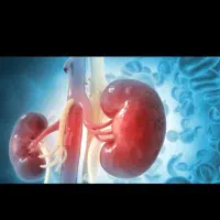 راهنمایی در مورد بیماریهای کلیه