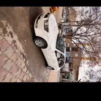 دنا معمولی تیپ 2