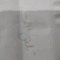 خط تلفن ثابت رند قابل انتقال